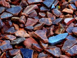 Schulreise der Klasse 4b